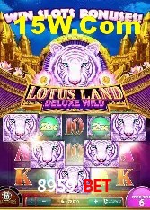 Experiência VIP 8959 Bet